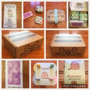 Pusheen box!